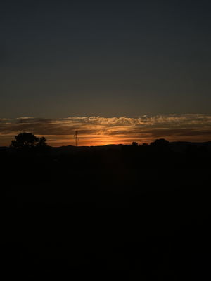 looliepooplie's Profile Photo