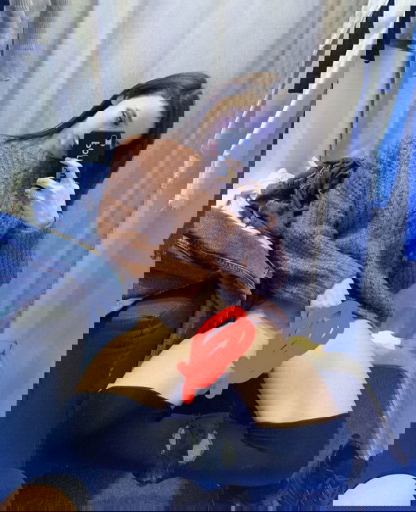 wfezfa, 19 years old from United States