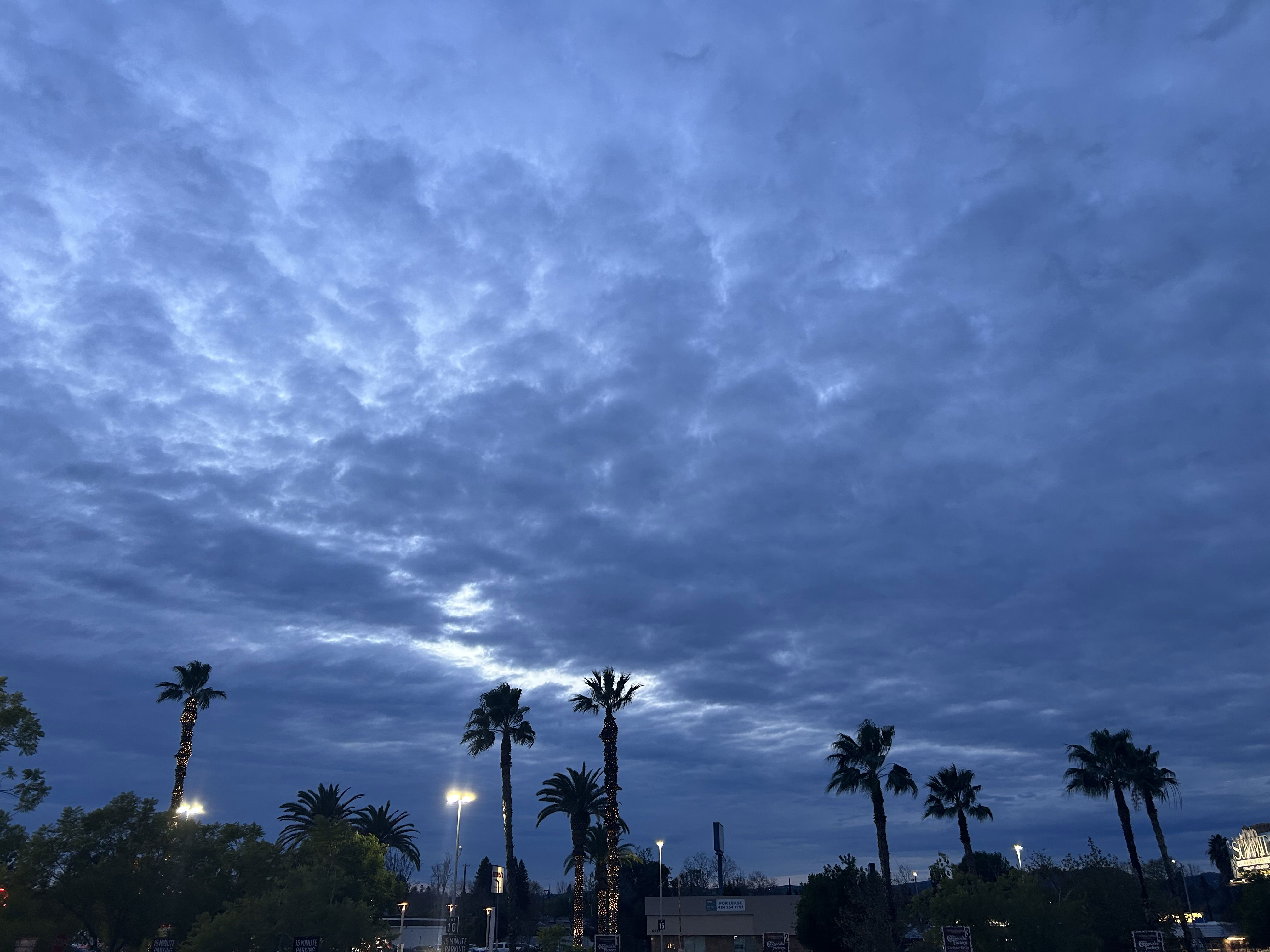 eric117's Profile Photo