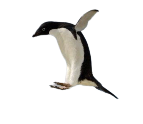 mrpenguin3214, 25 years old from United States