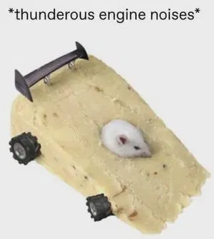 Onni's Profile Photo