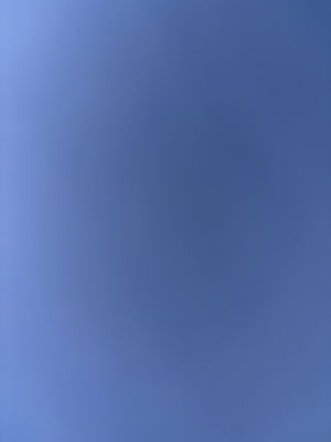 aless4270's Profile Photo