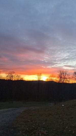 donnie12w3's Profile Photo