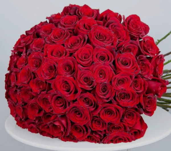 raja, 20 years old from India