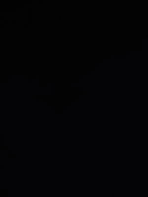 nathannath's Profile Photo