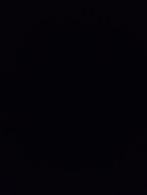 svnntt_i's Profile Photo