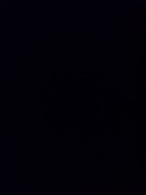 bottomboy209598's Profile Photo