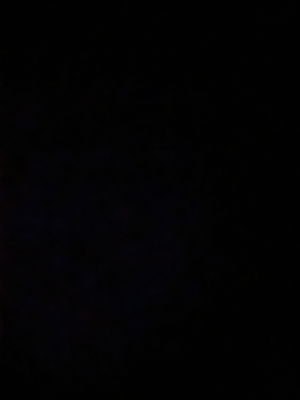 Dayton's Profile Photo