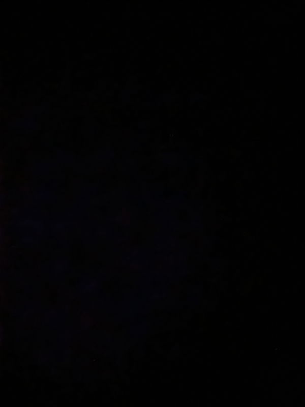 Dayton, 20 years old from United States