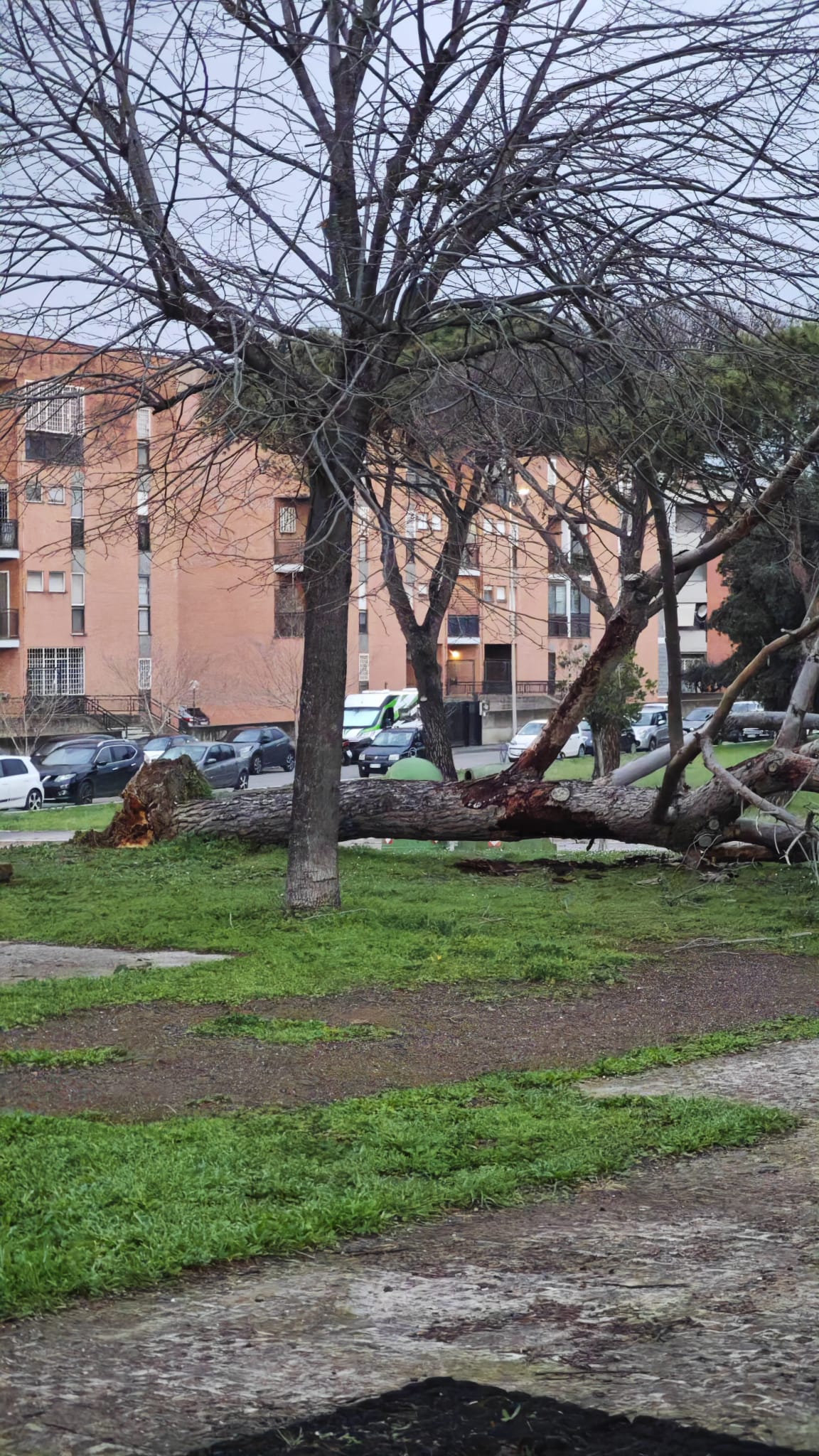 chec's Profile Photo