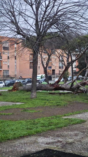 chec's Profile Photo