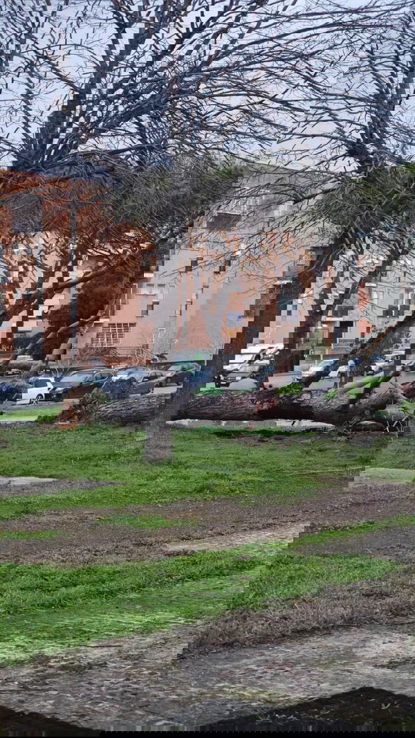 chec, 18 years old from Italy