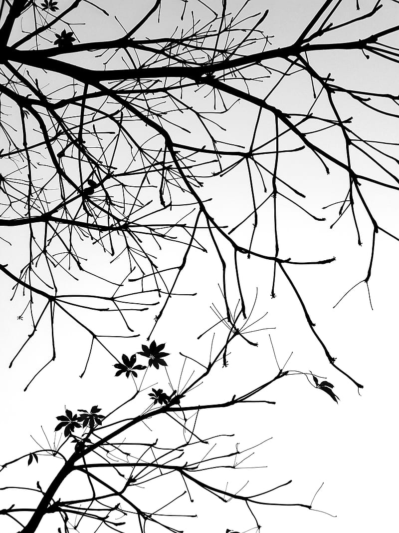 ohiomerosaviour123's Cover Photo