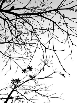 ohiomerosaviour123's Profile Photo