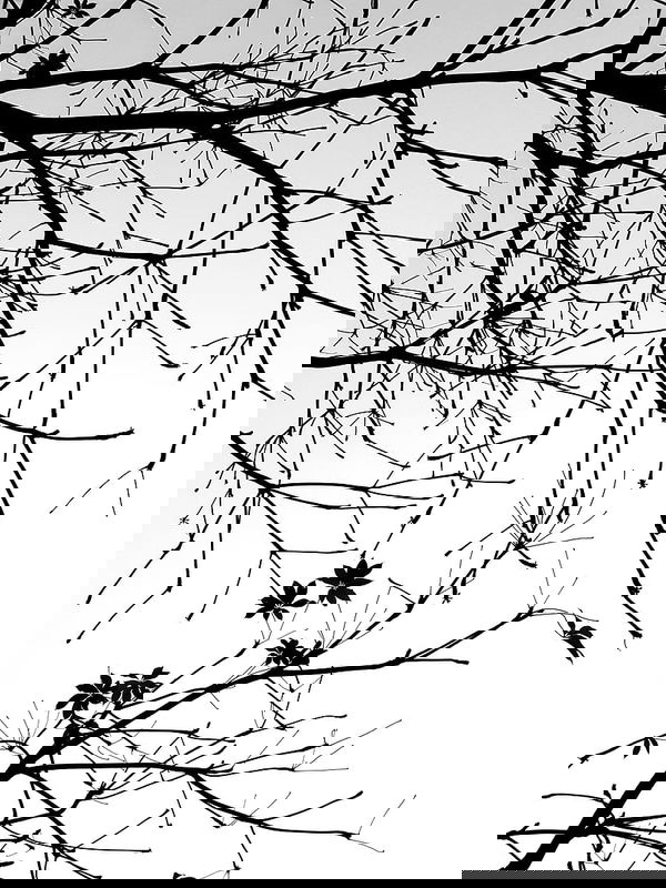 ohiomerosaviour123, 18 years old from Nigeria