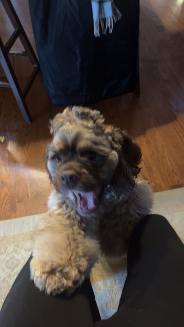 otxandy, 18 years old from United States