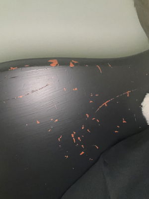 funhouseflies06's Profile Photo