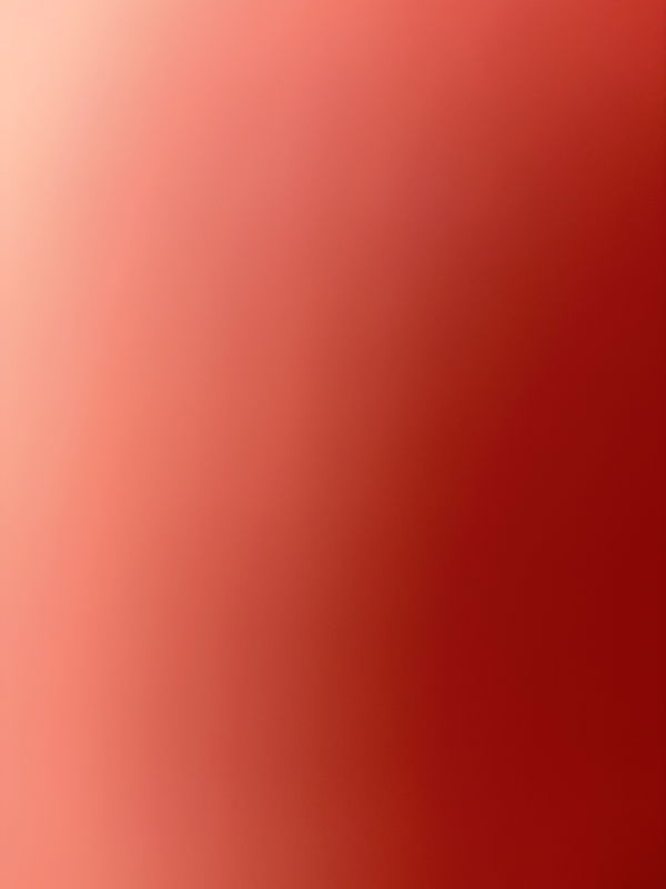 Jayyyyy, 21 years old from United States