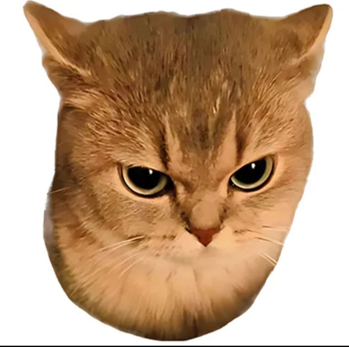 killuazodyck077's Cover Photo