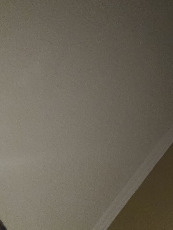 goaliesp, 19 years old from United States