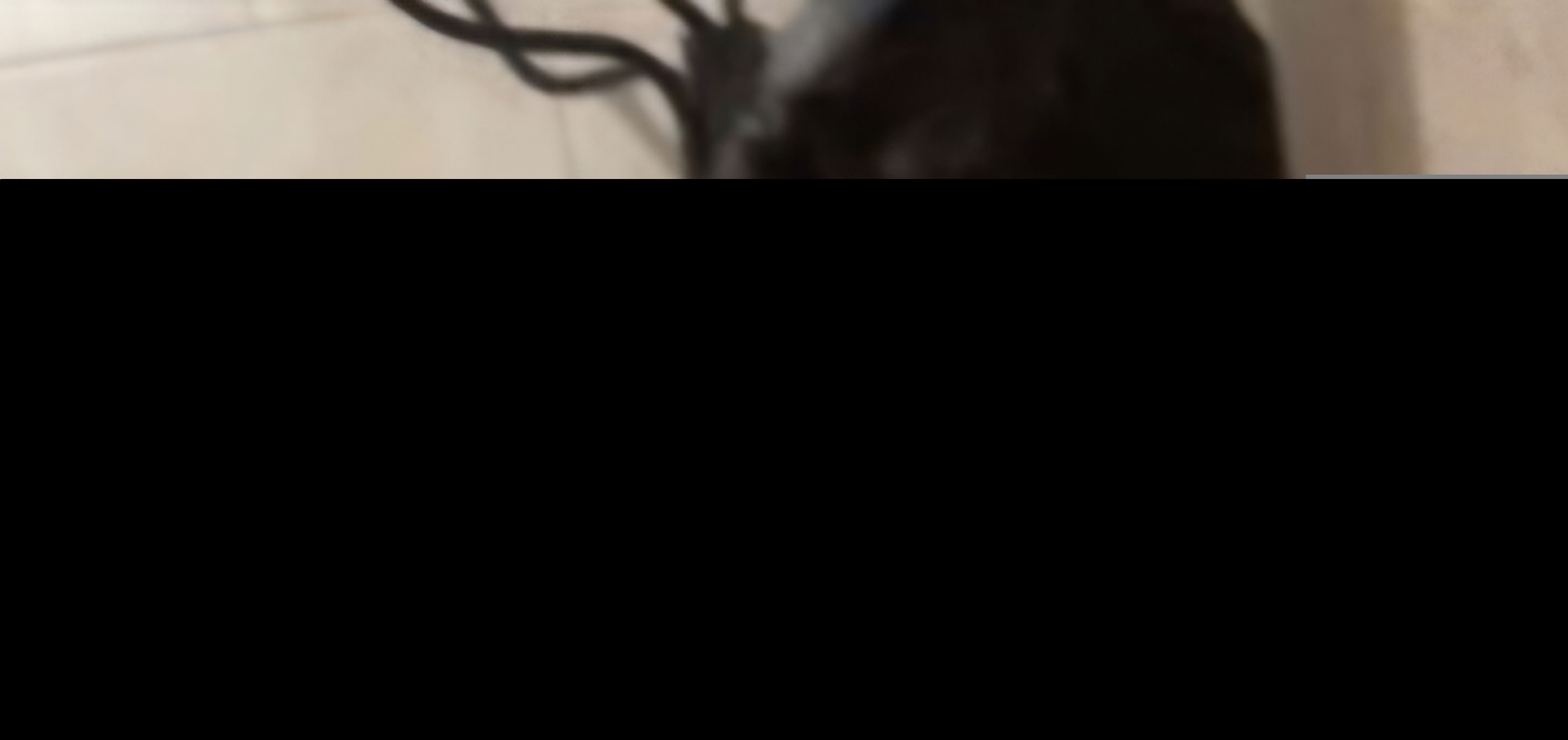 jamesdarwin6661's Cover Photo