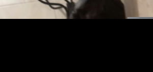 jamesdarwin6661's Profile Photo