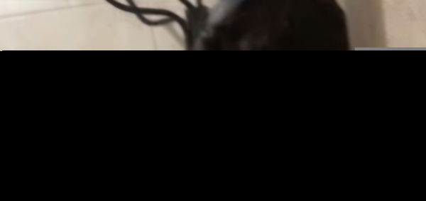 jamesdarwin6661, 18 years old from United States