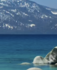 bravest446, 18 years old from United States