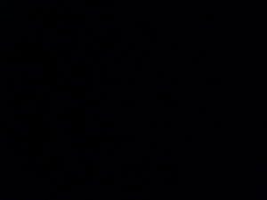 sweetboy's Profile Photo