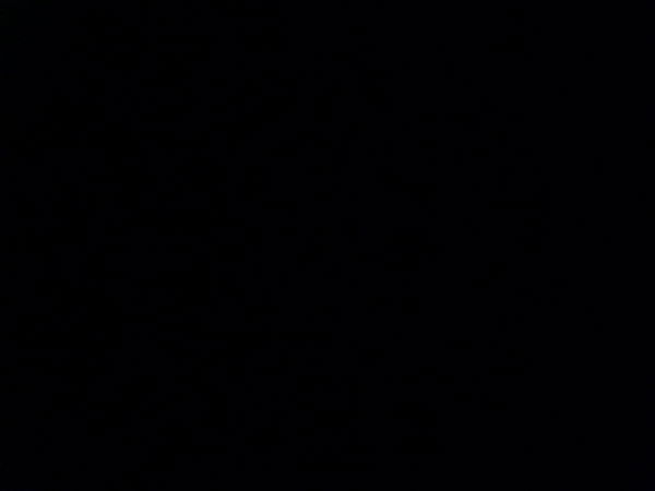 sweetboy, 18 years old from United States