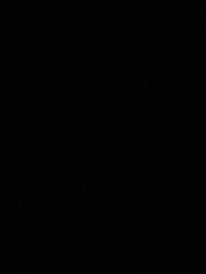 mitchellaiden702's Profile Photo