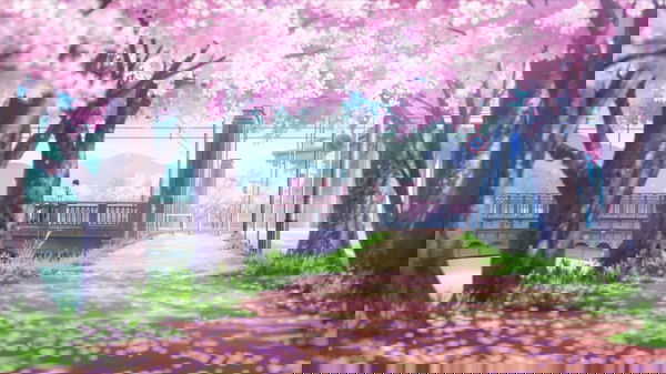 my-name_7, 19 years old from United States