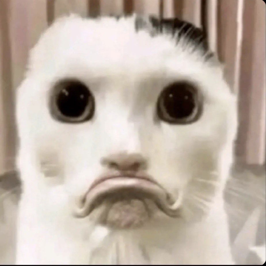 Fgygvghfc's Cover Photo