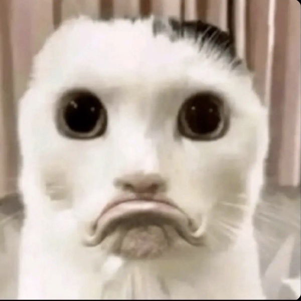 Fgygvghfc, 18 years old from United Kingdom