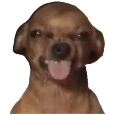 JaBoy69's Profile Photo