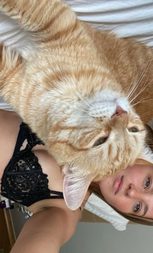 tipusey's Profile Photo