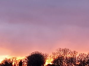 luvlife180's Profile Photo