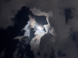 Alex11's Cover Photo