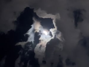 Alex11's Profile Photo