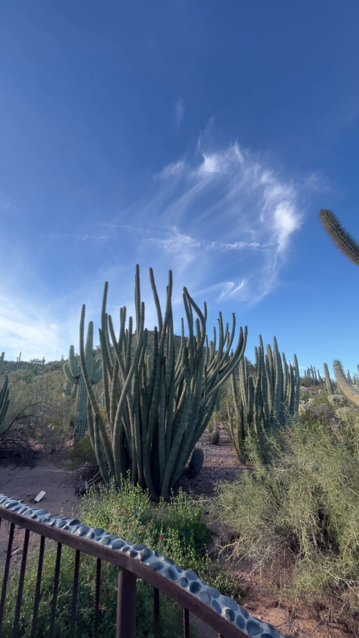 kamnam071010's Cover Photo