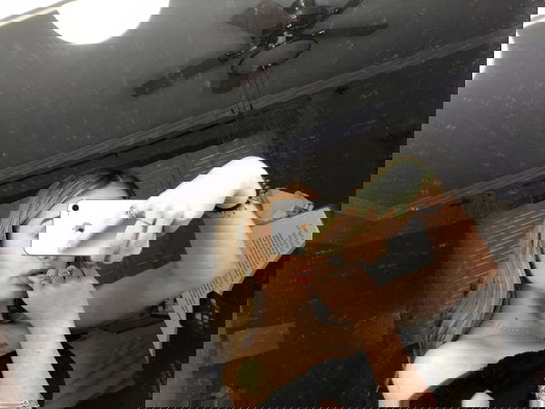 catcut, 20 years old from United Kingdom