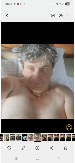 Steve's Profile Photo