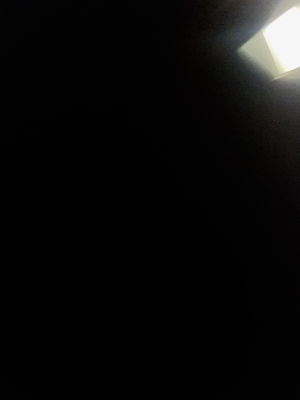 Joe_werr's Profile Photo