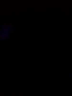 youngbottom13's Profile Photo