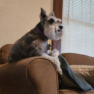 richardsg627's Profile Photo