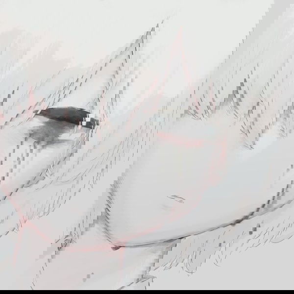 pakss, 23 years old from Argentina