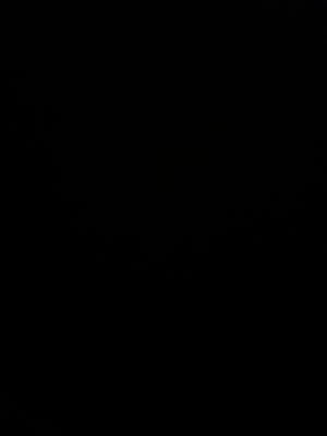 Bando's Profile Photo