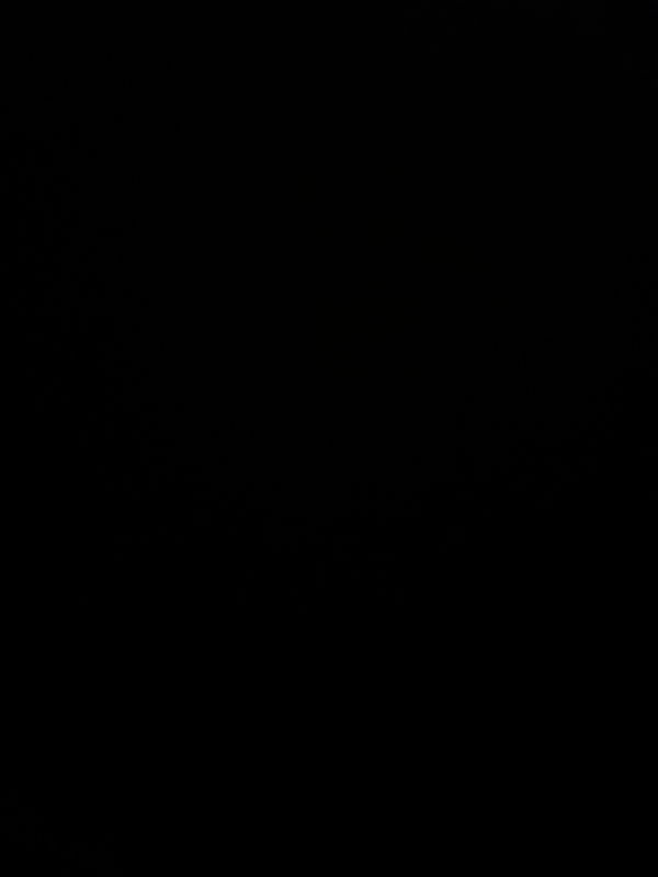 Bando, 19 years old from United States