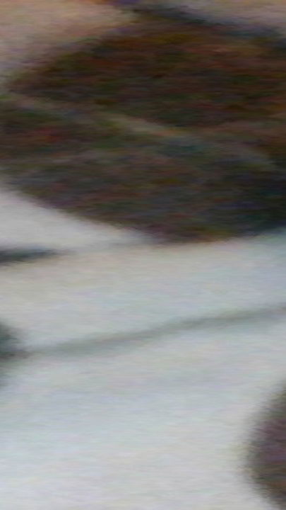 mcain603's Cover Photo