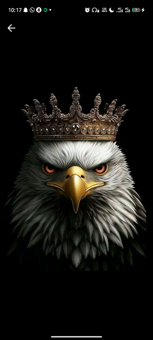 tomison590's Profile Photo